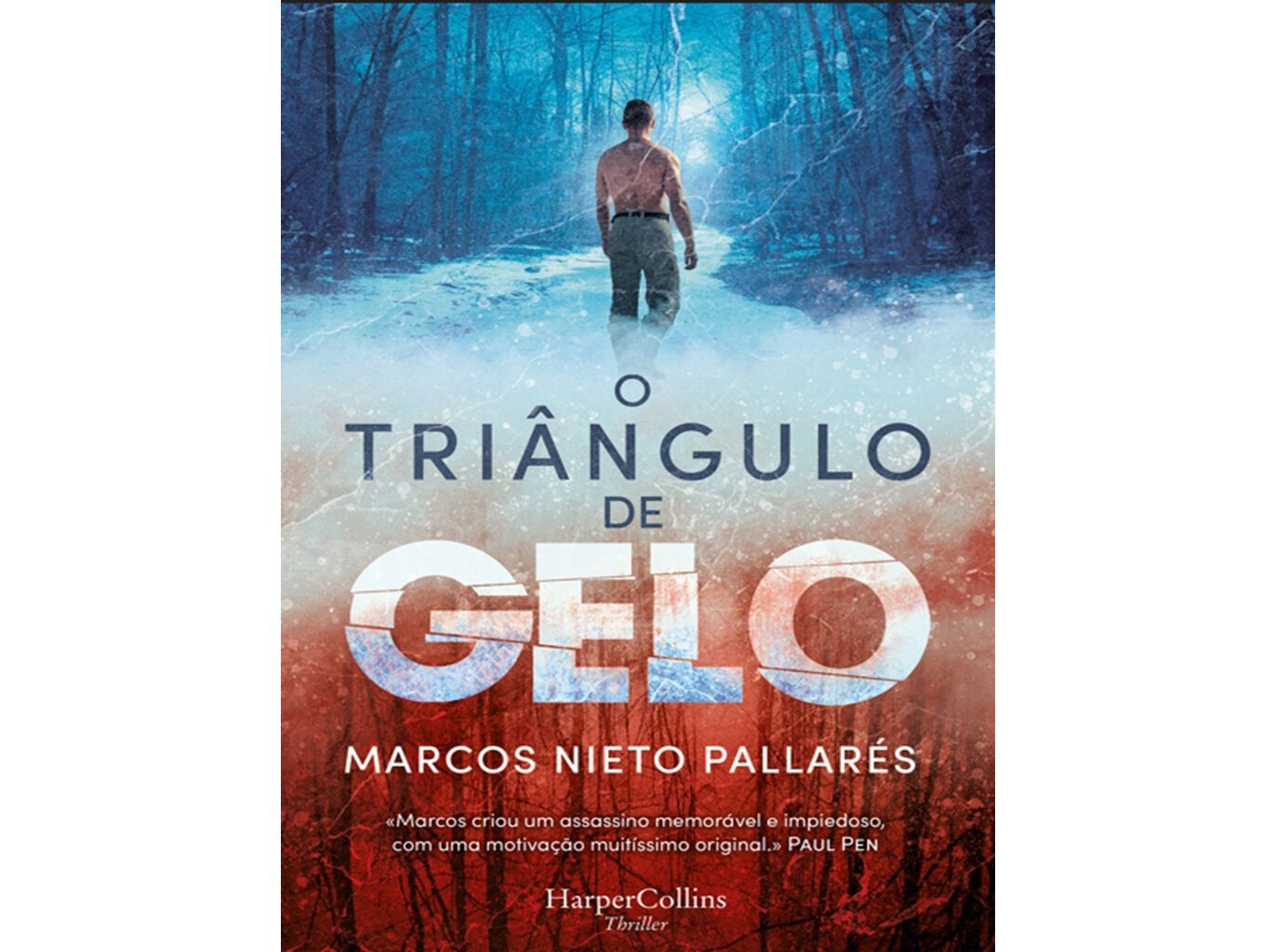LIVRO O TRI&Acirc;NGULO DE GELO DE MARCO NIEGO PALLAR&Eacute;S image number 0