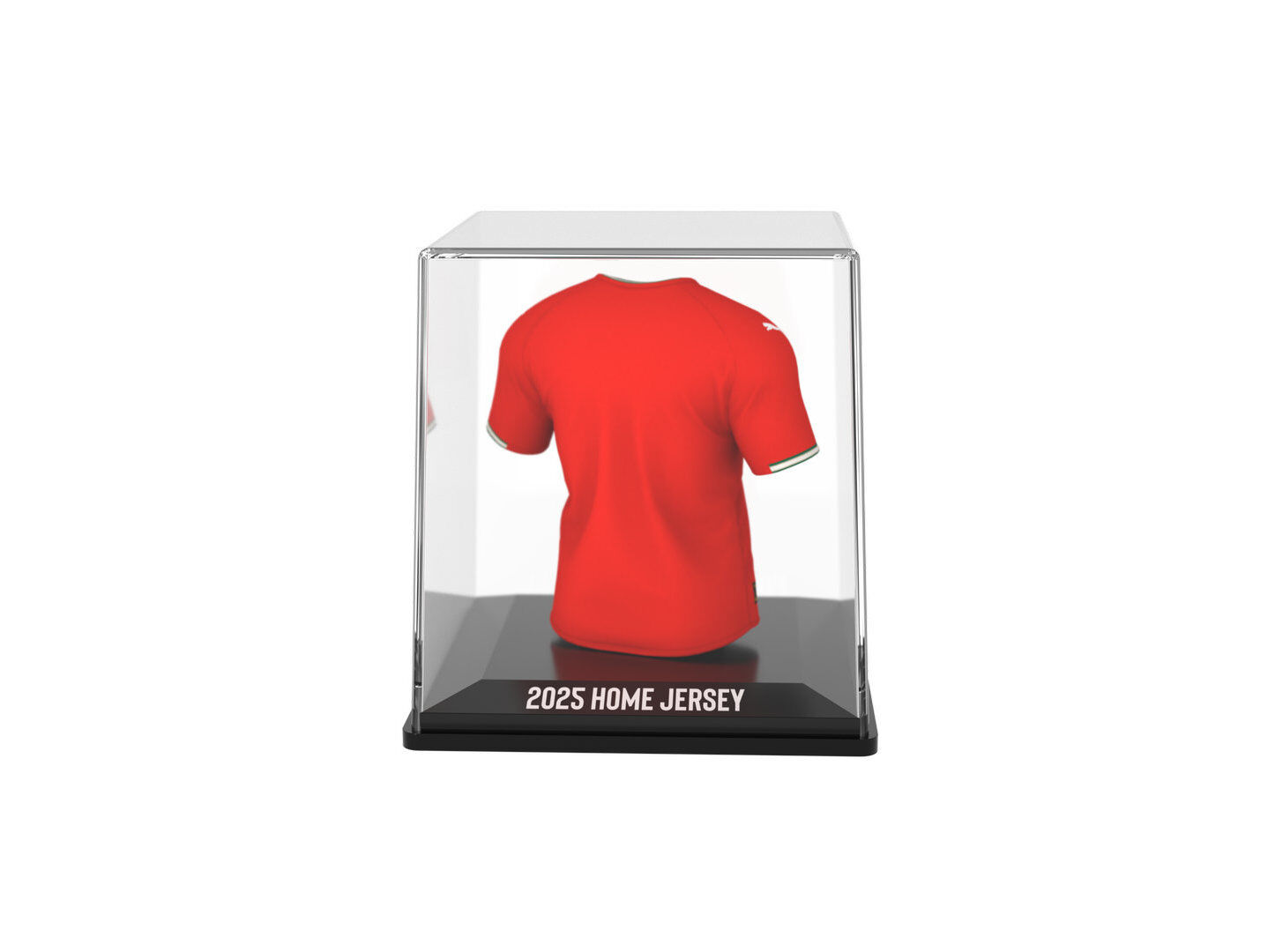 FIGURA MY JERSEY FPF - HOME - 2025 image number 3