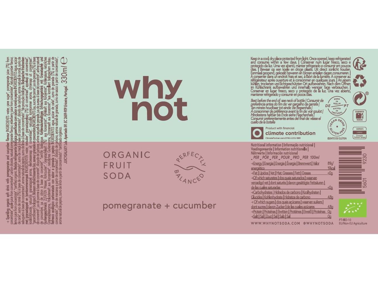 CRAFT SODA WHY NOT ROM&Atilde; PEPINO 330 ML image number 1