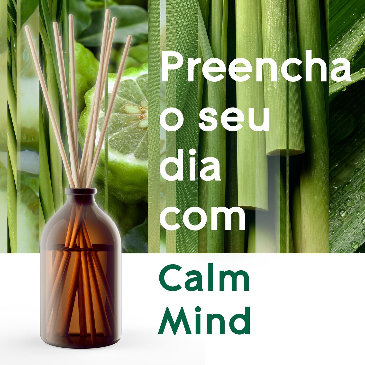 AMBIENTADOR GLADE STICK MOMENT OF ZEN BERGAMOTA 80ML image number 4