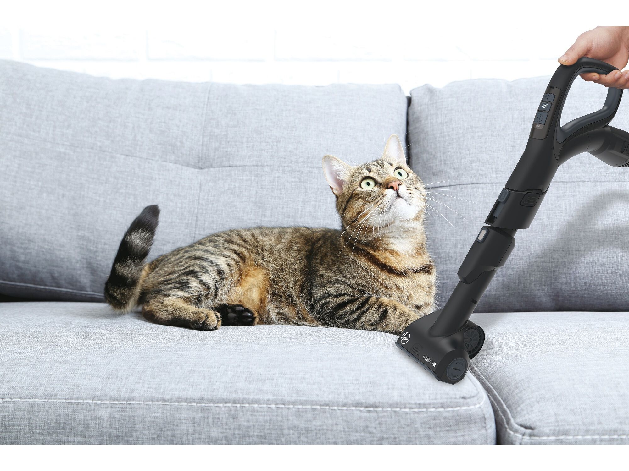 ASPIRADOR COM SACO HOOVER HE730ALG 011 850W image number 5