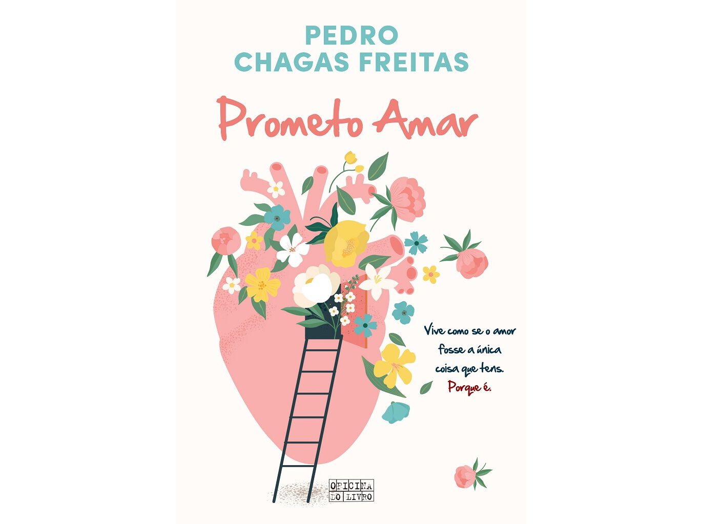 LIVRO PROMETO AMAR DE: PEDRO CHAGAS FREITAS image number 0