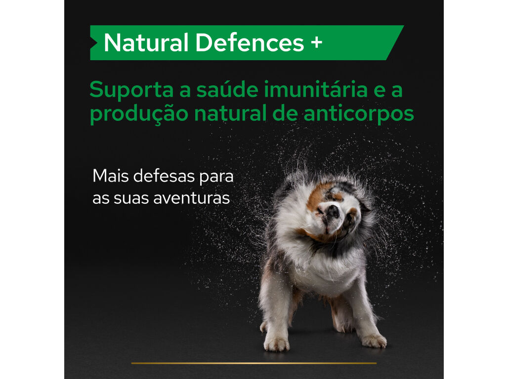 SUPLEMENTO PARA C&Atilde;O PRO PLAN NATURAL DEFENCES 67G image number 1