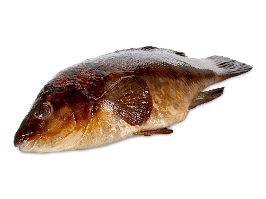 BODI&Atilde;O KG image number 0