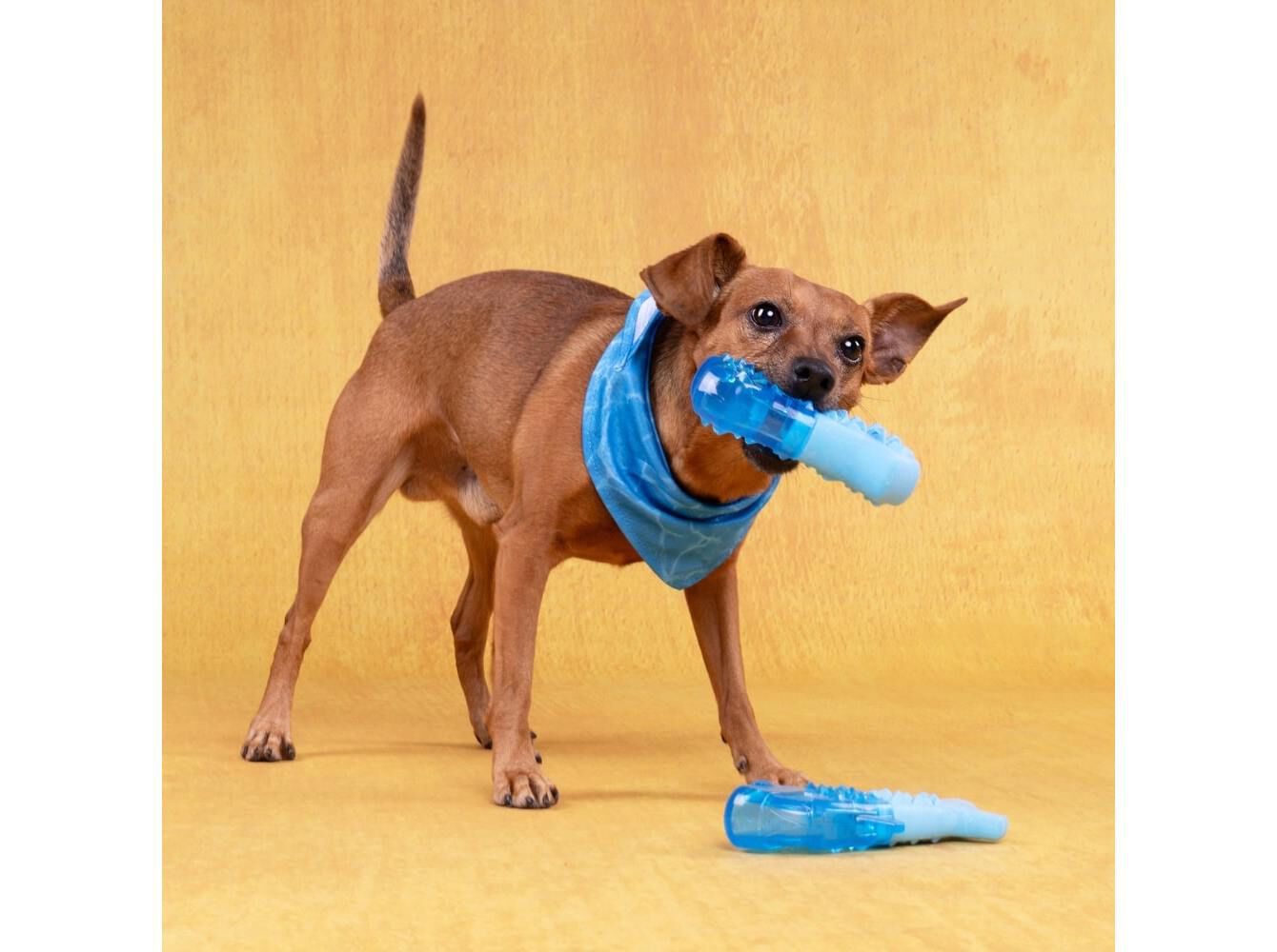 BRINQUEDO C&Atilde;O FLAMINGO OSSO FRESCO 13.3CM image number 1