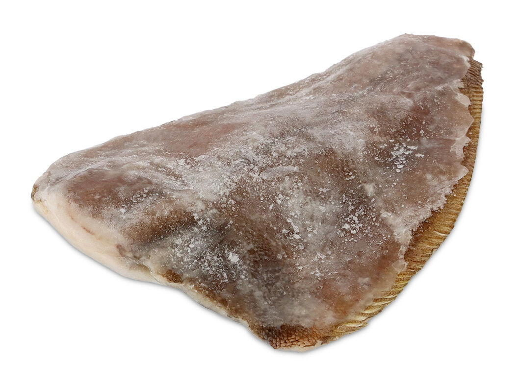 SOLHA CONGELADA GRANDE SEM CABE&Ccedil;A KG