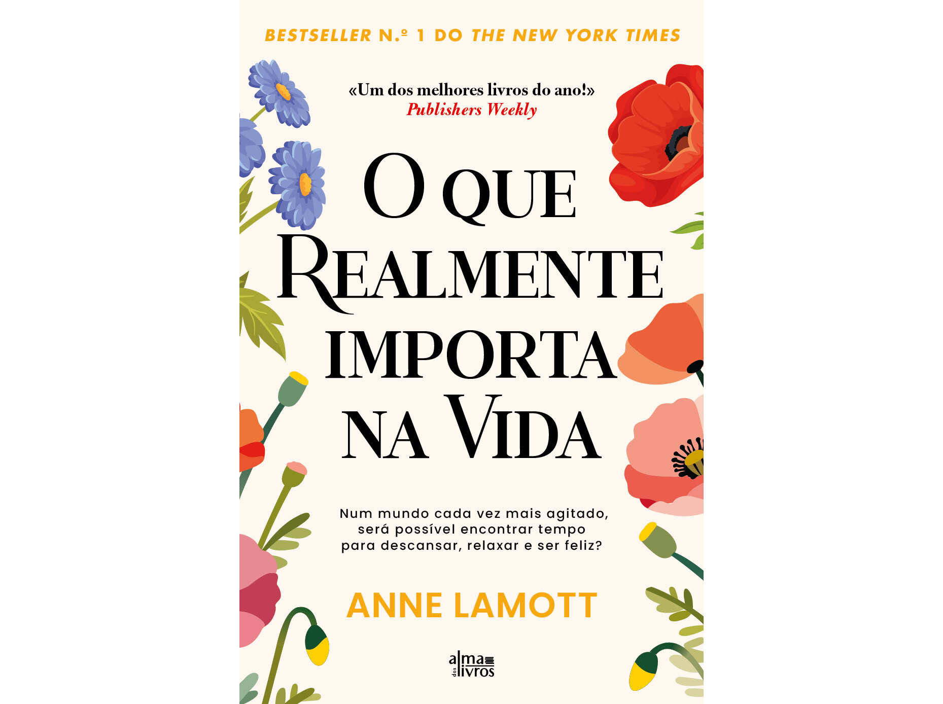 LIVRO O QUE REALMENTE IMPORTA NA VIDA DE ANNE LAMOTT image number 0