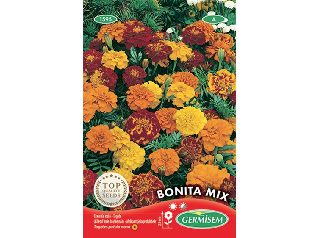 SEMENTES SOMELITE CRAVOS DA INDIA BONITA MIX image number 0