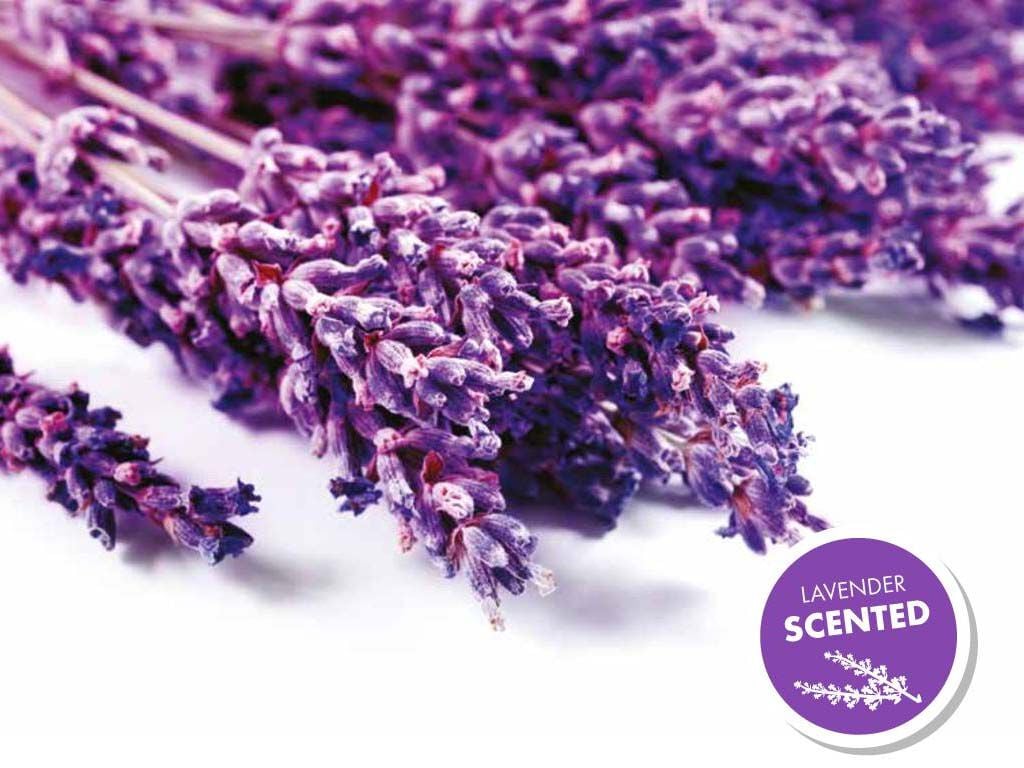 SACOS DEJETOS MPETS FRAGR&Acirc;NCIA LAVANDA PACK 4X15 UNIDADES image number 1