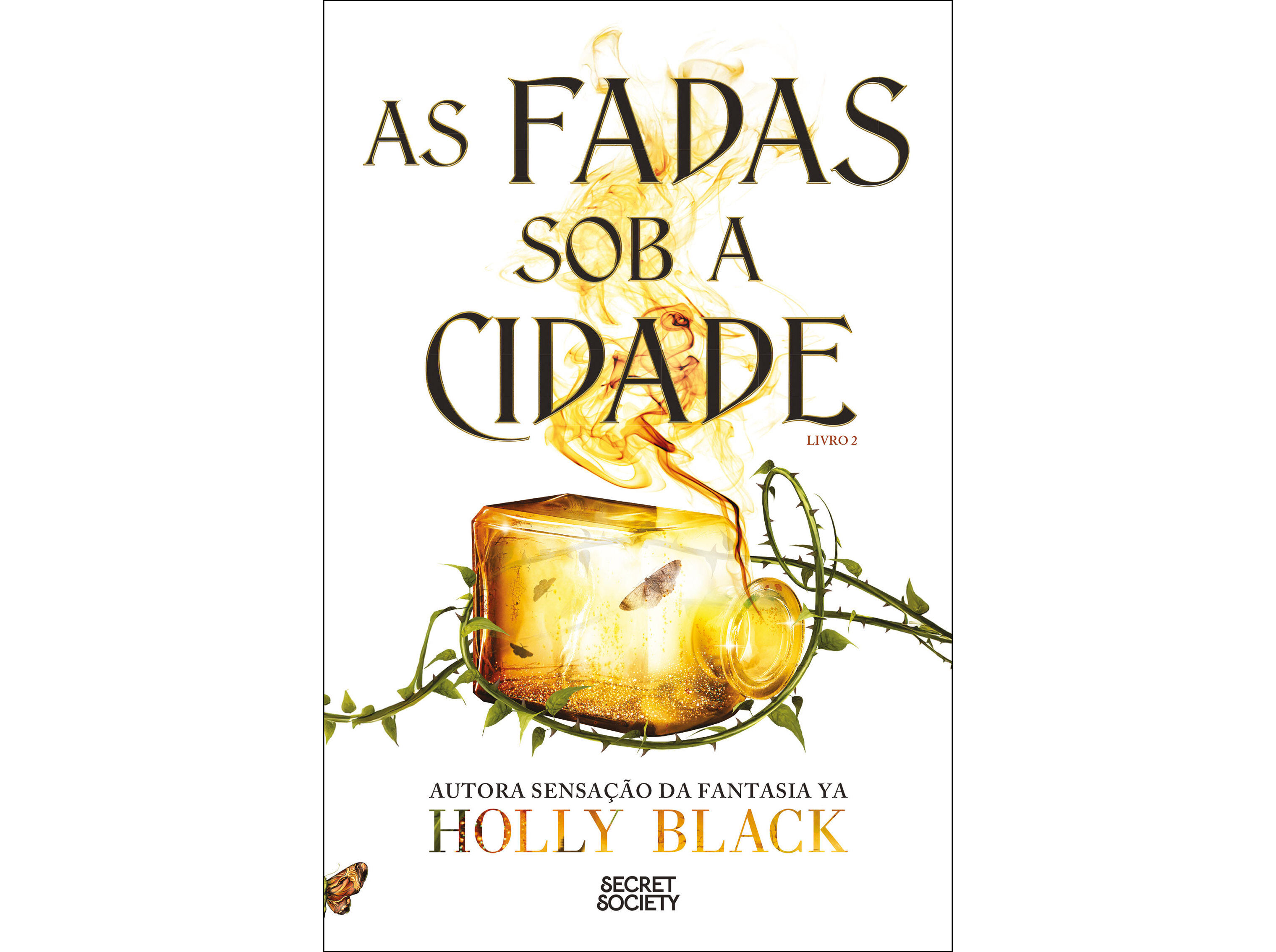 LIVRO AS FADAS SOB A CIDADE DE HOLLY BLACK image number 0