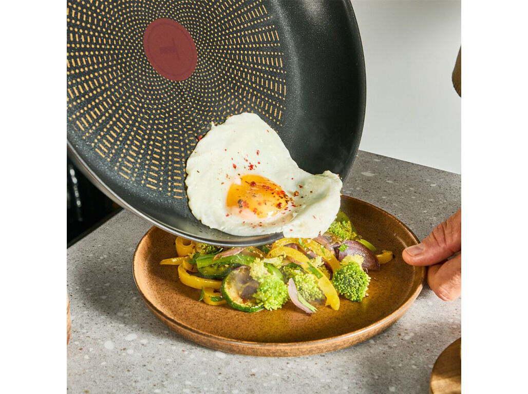FRIGIDEIRA INDU&Ccedil;&Atilde;O TEFAL EMOTION 24CM image number 3