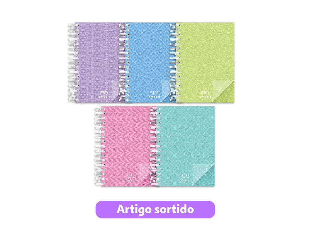 AGENDA DIARIA AMBAR LOOK 14.7X21CM CORES SORTIDAS