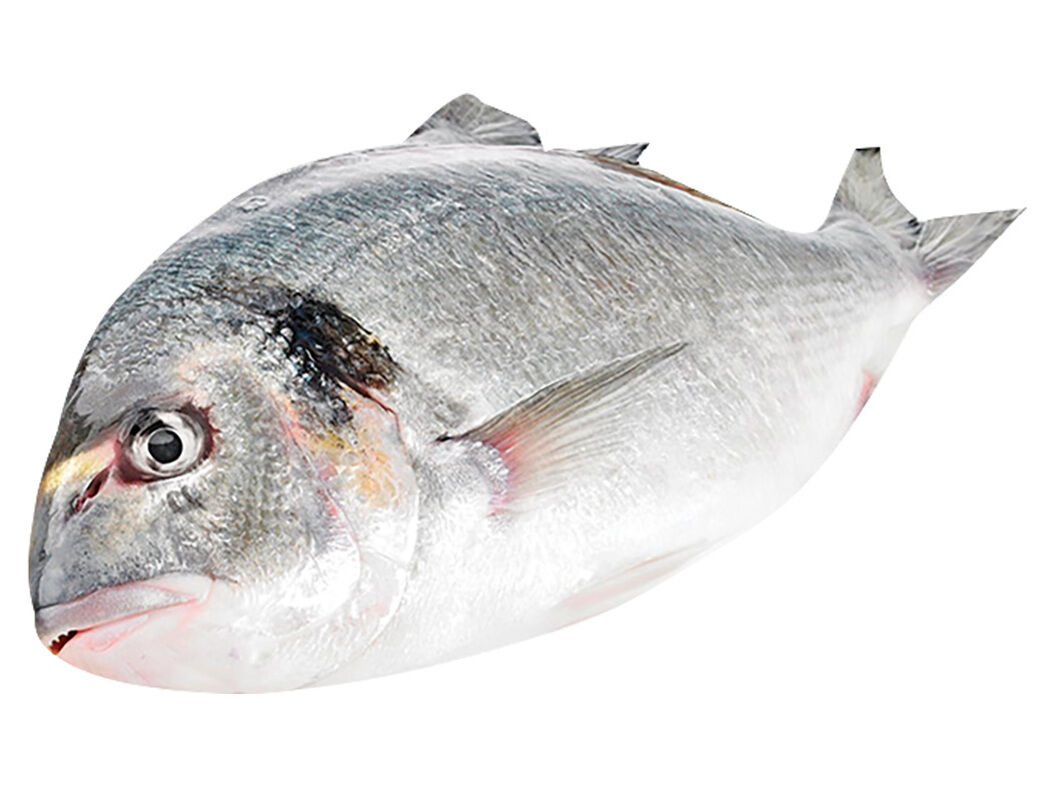 DOURADA GRANDE 800G A 1KG image number 0