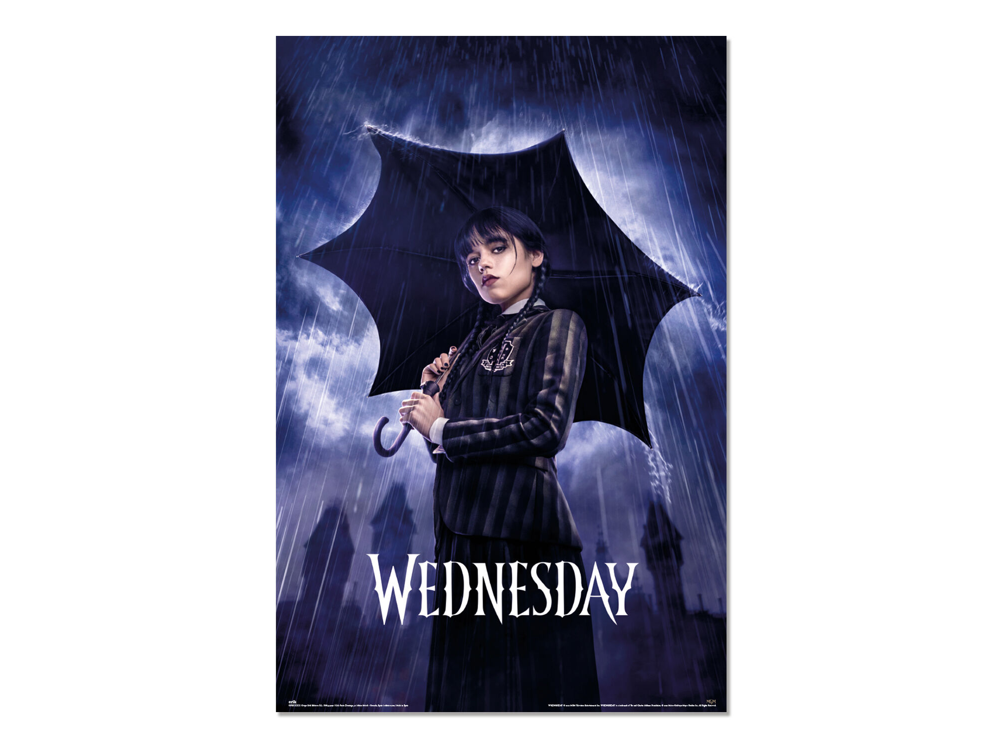 POSTER WEDNESDAY UMBRELLA ERIK image number 0
