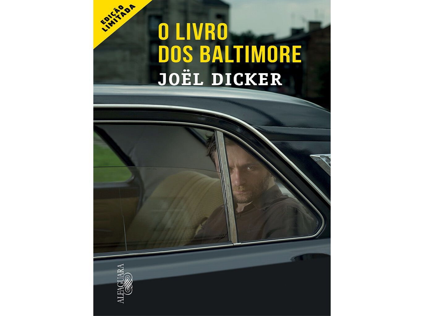 O LIVRO DOS BALTIMORE image number 1