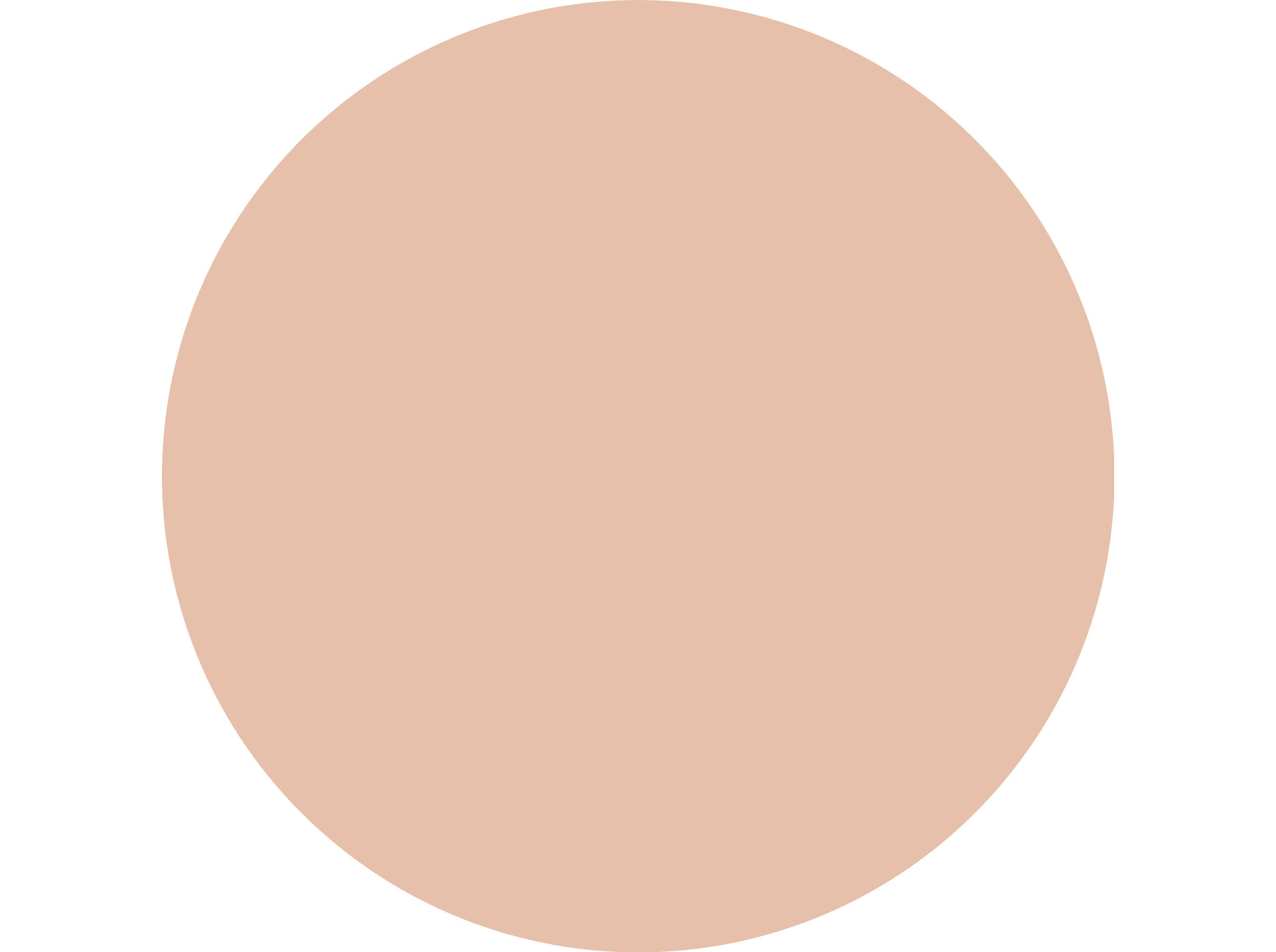 CONCEALER ESSENCE CAMOUFLAGE+ MATTE 020 image number 4