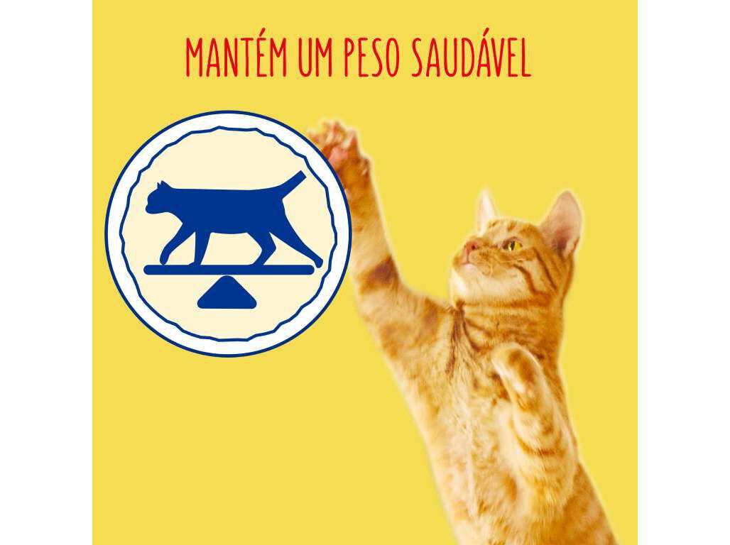 RA&Ccedil;&Atilde;O PARA GATO FRISKIES ESTERILIZADO COM SALM&Atilde;O 3KG image number 1