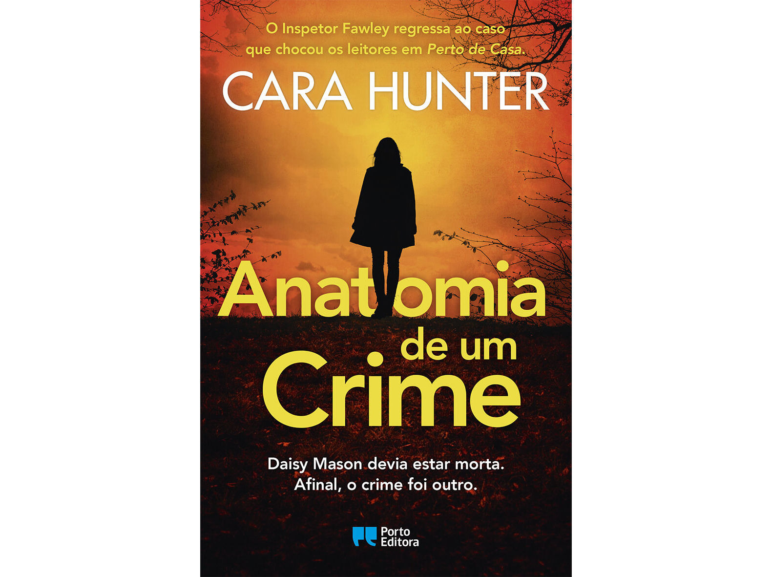 LIVRO ANATOMIA DE UM CRIME DE CARA HUNTER image number 0