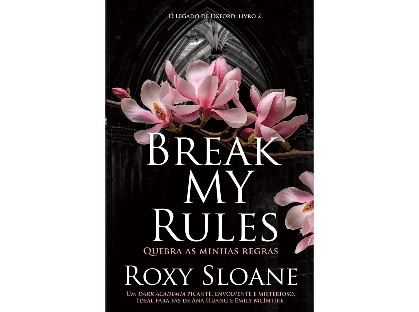 LIVRO BREAK MY RULES DE ROXY SLOANE image number 0