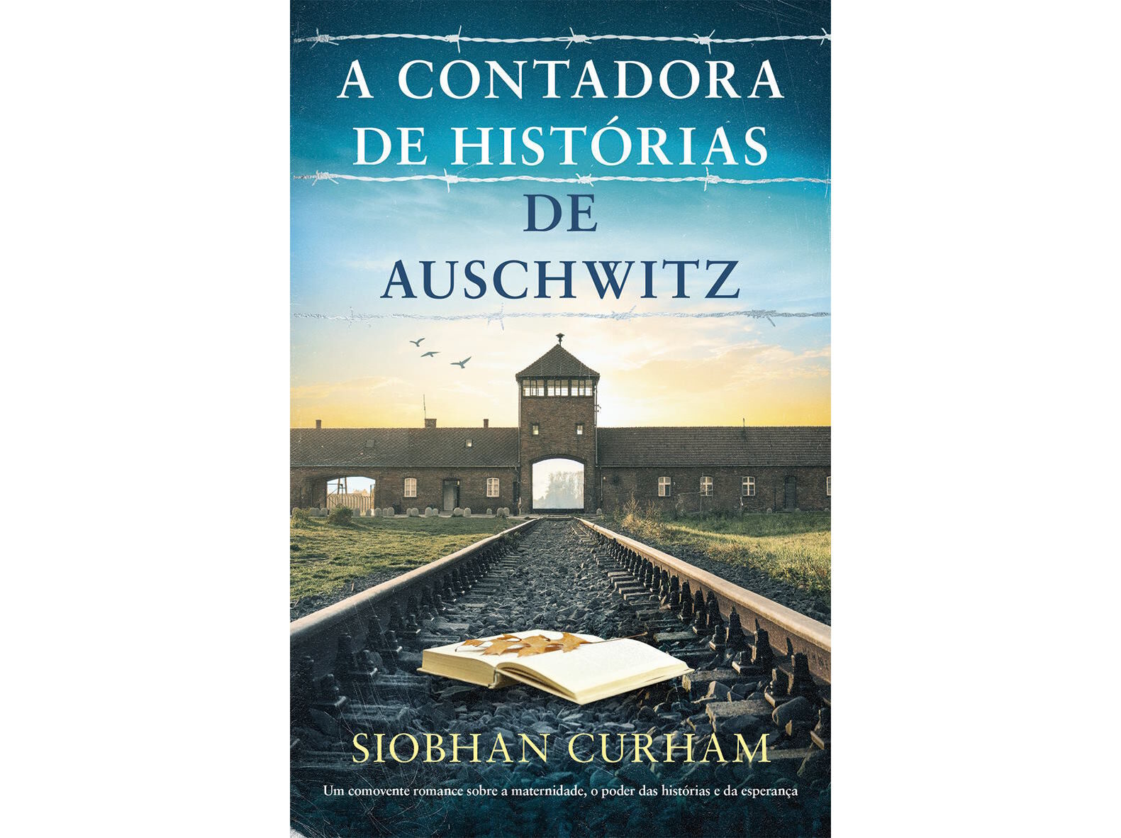 LIVRO A CONTADORA DE HIST&Oacute;RIAS DE AUSCHWITZ DE SIOBHAN CURHAM image number 0