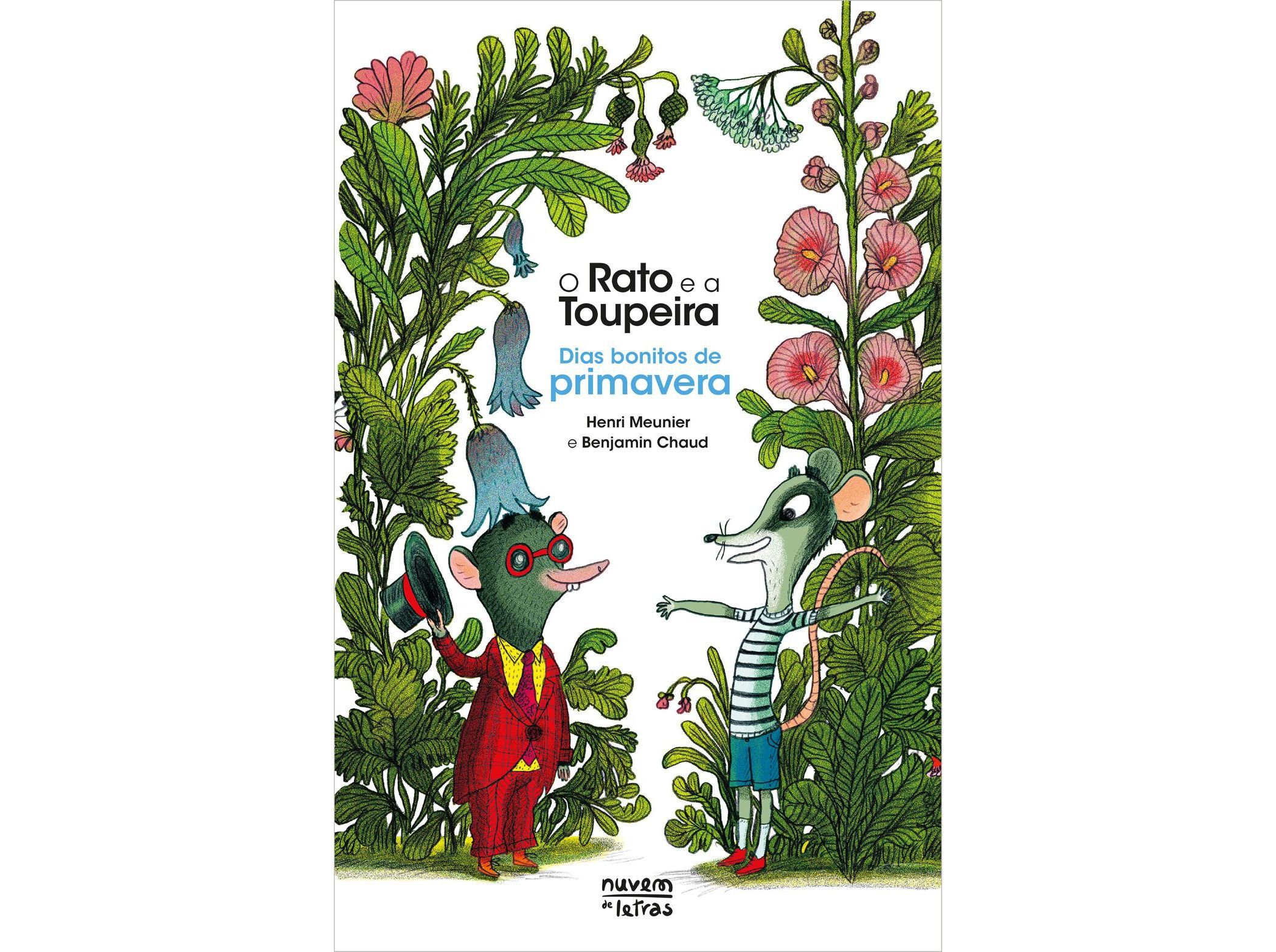 LIVRO O RATO E A TOUPEIRA DIAS BONITOS DE PRIMAVERA image number 0