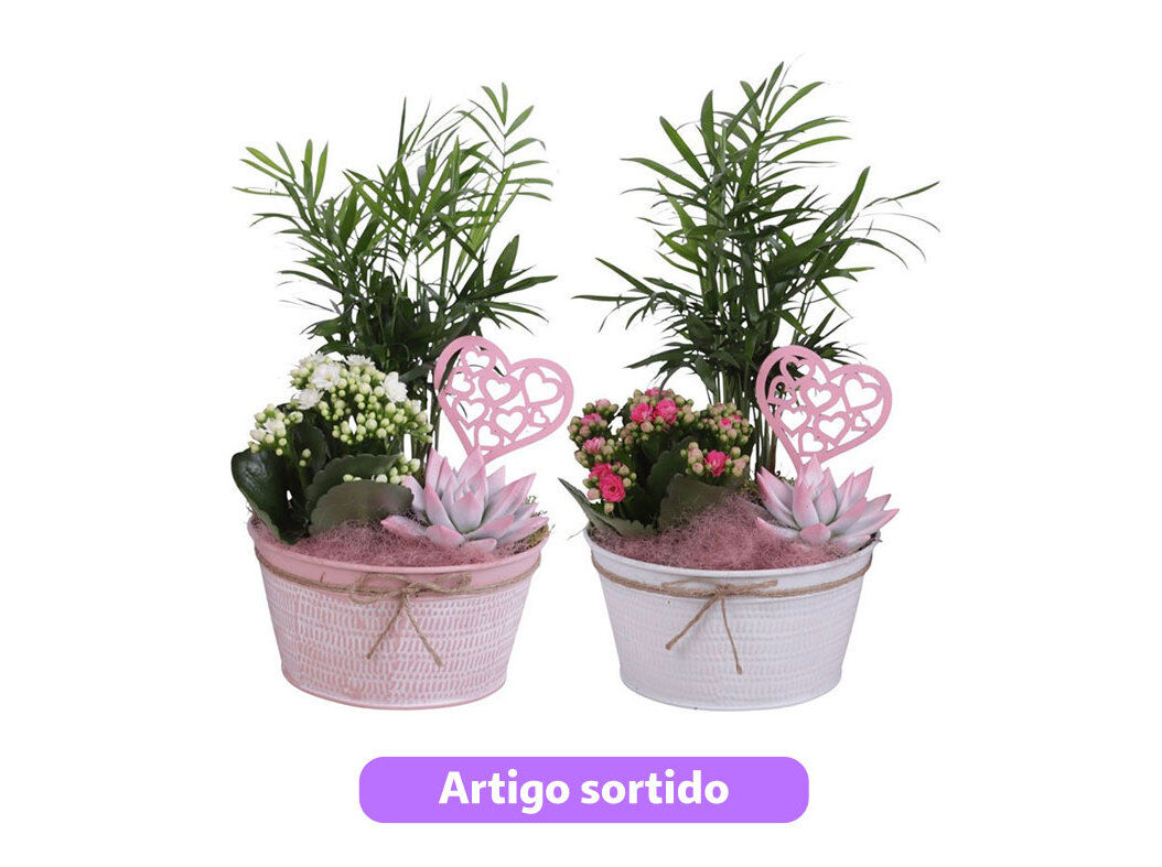 ARRANJO DIA DA M&Atilde;E EM VASO ZINCO VASO 17 CORES SORTIDAS