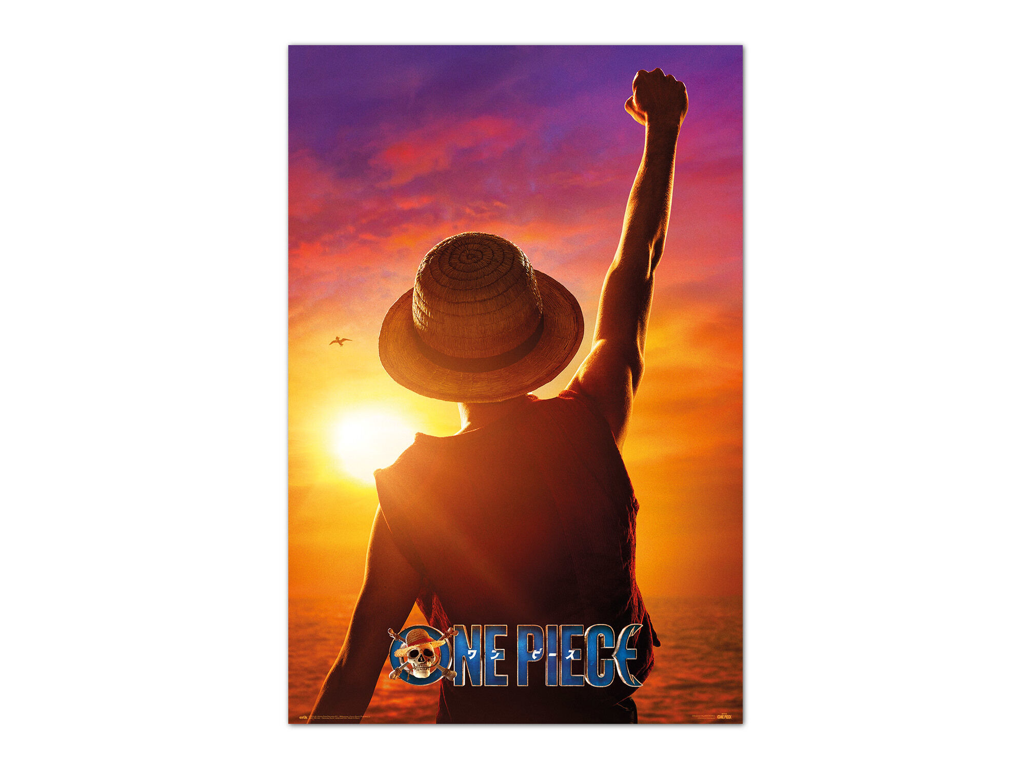 POSTER ONE PIECE MONKEY ERIK image number 0