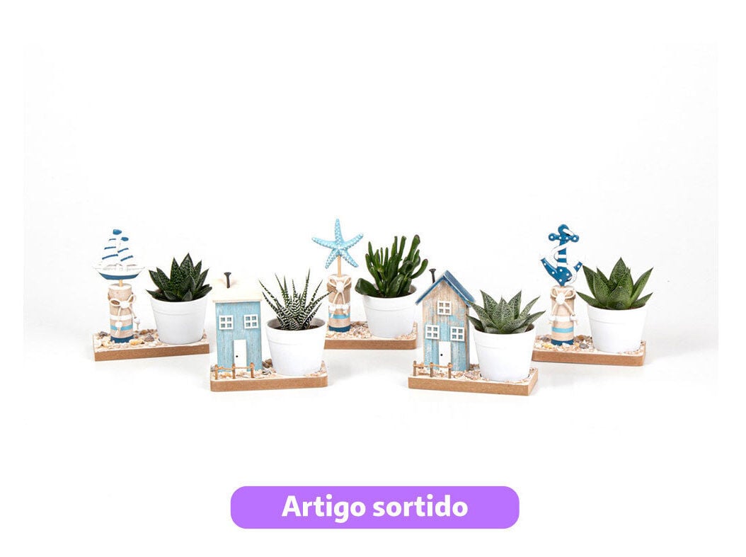 MINI SUCULENTENTAS MIX OFERTA VASO CER&Acirc;MICA VASO 6CM MODELOS SORTIDOS