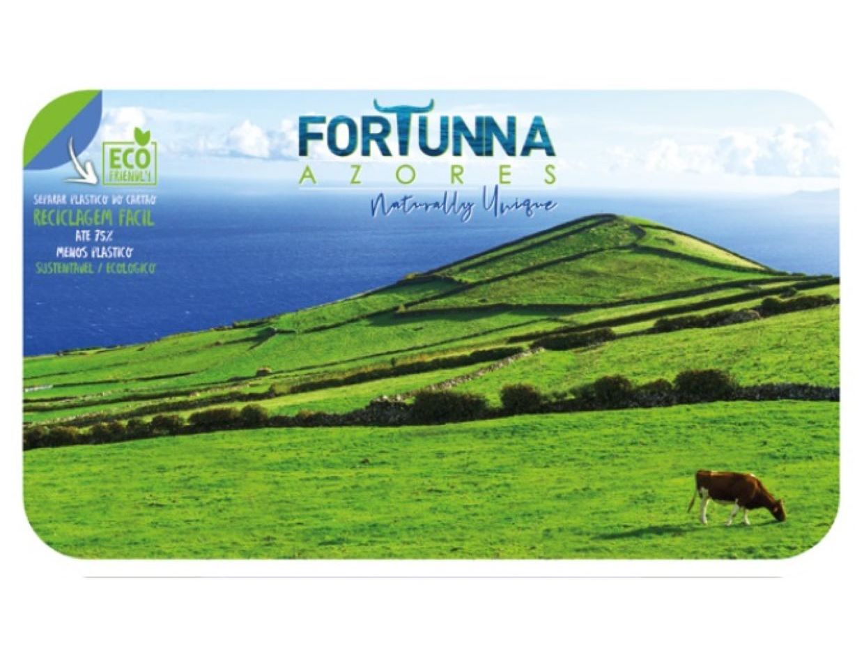 ESTUFAR A&Ccedil;ORES FORTUNNA 350G image number 1