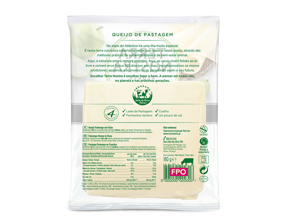 QUEIJO TERRA NOSTRA PROTE&Iacute;NA FATIAS 180G image number 1