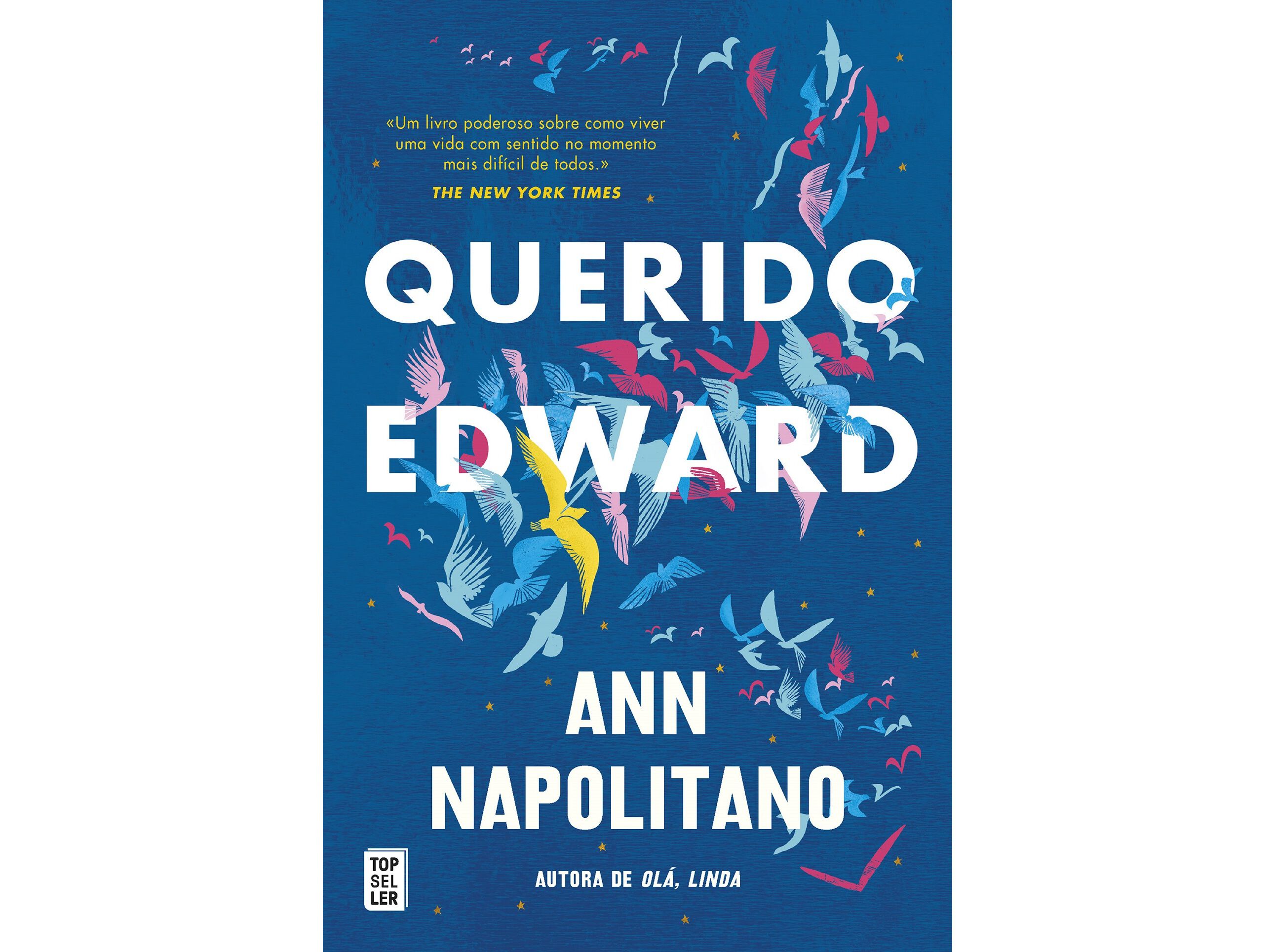 LIVRO QUERIDO EDWARD DE ANN NAPOLITANO image number 0
