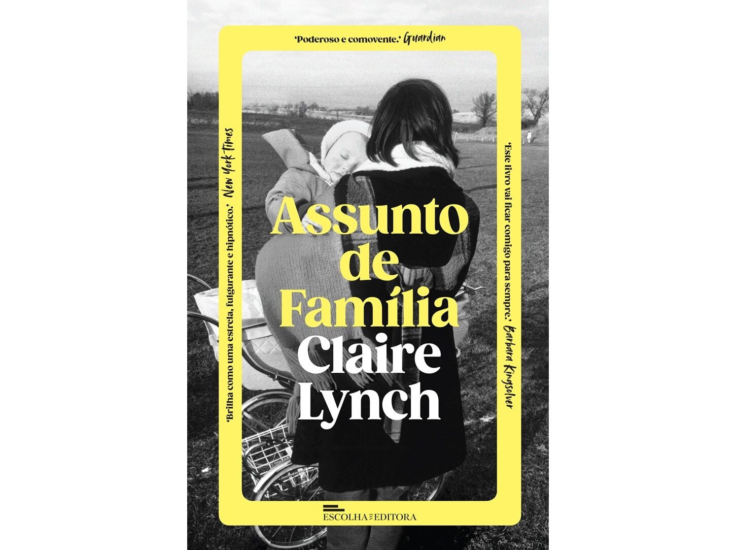 LIVRO UM ASSUNTO DE FAM&Iacute;LIA DE CLAIRE LYNCH image number 0