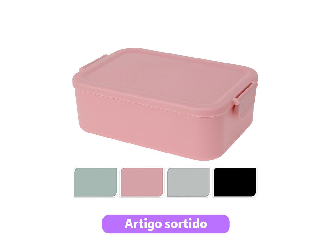 LANCHEIRA 20X14X7CM CORES SORTIDAS