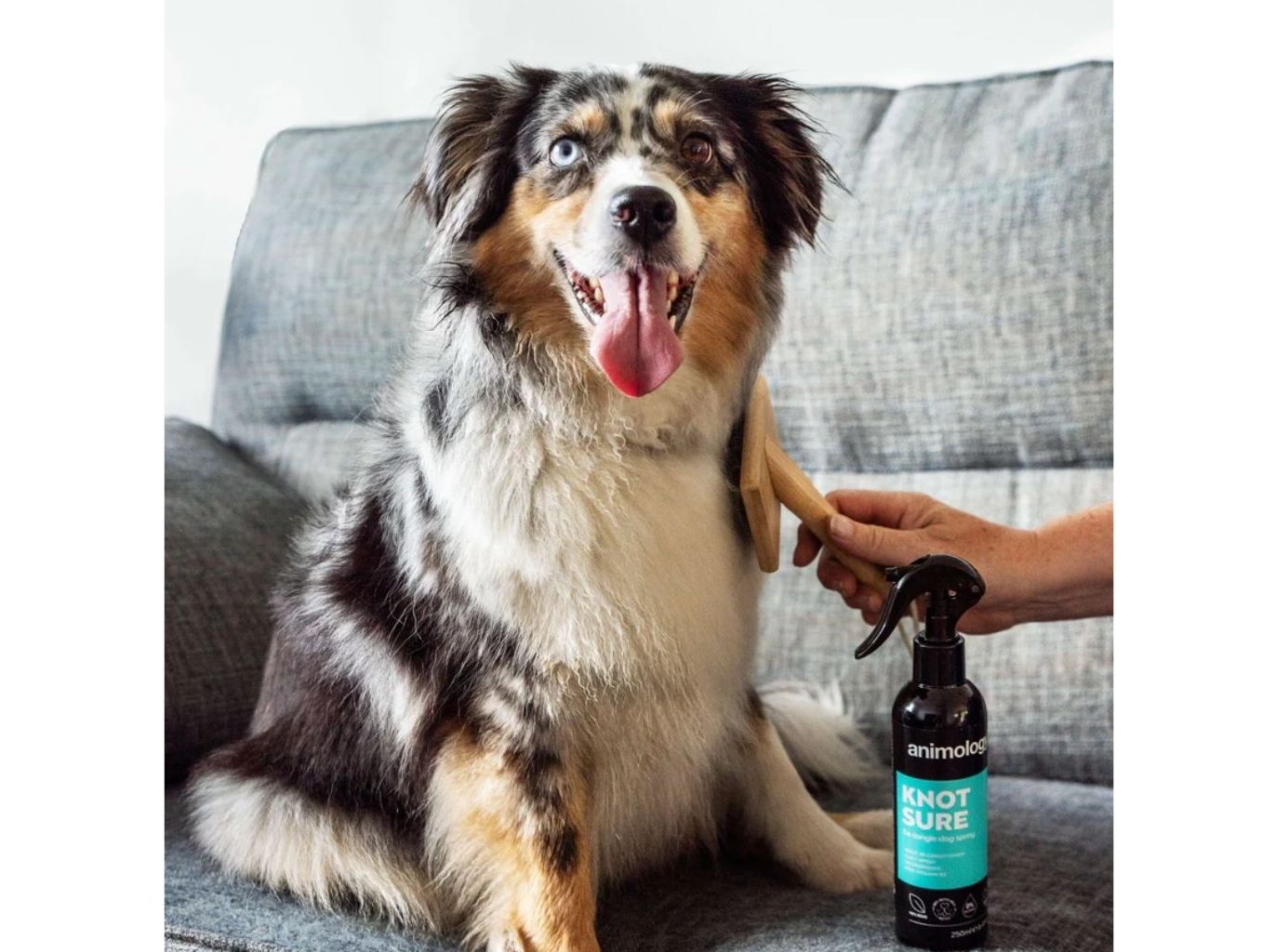 SPRAY C&Atilde;O ANIMOLOGY DE-TANGLE KNOT SURE 250ML image number 1