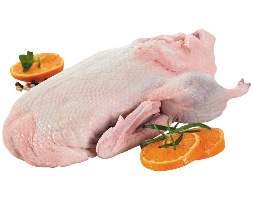 PATO INTEIRO COM MIUDOS QUINTA DA MARINHA KG