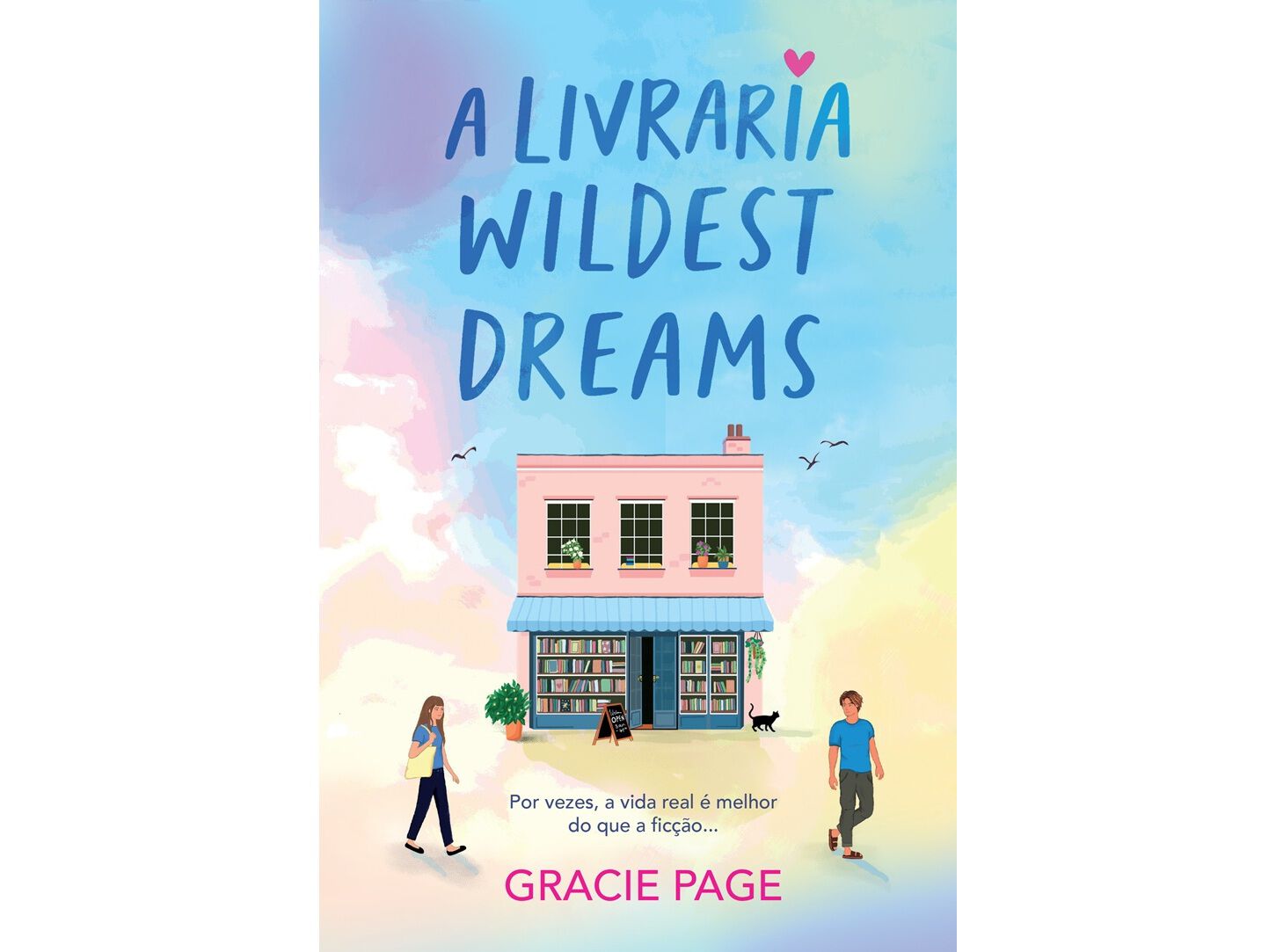 LIVRO A LIVRARIA WILDEST DREAM image number 0