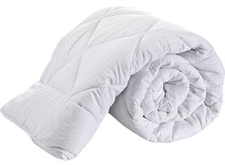 EDRED&Atilde;O ANTIST&Aacute;TICO 100% POLIESTER 300G INTERIOR 98%MICROFIBRA 2%CARBONO 240X260CM