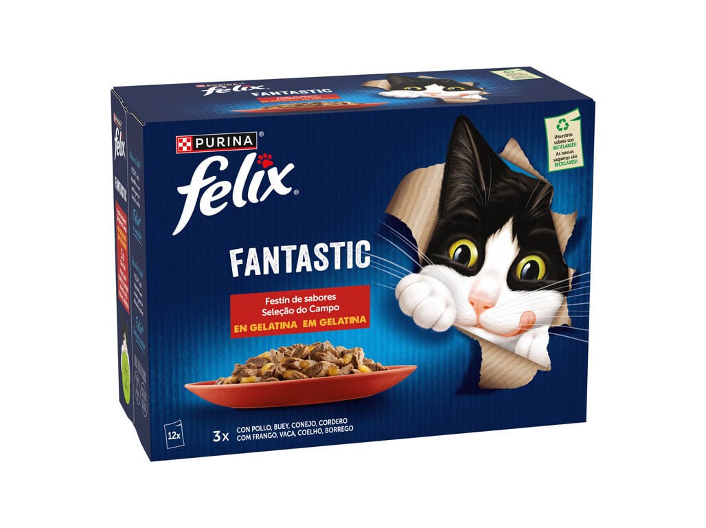 COMIDA H&Uacute;MIDA PARA GATO FELIX FANTASTIC CARNE 12X85G image number 1
