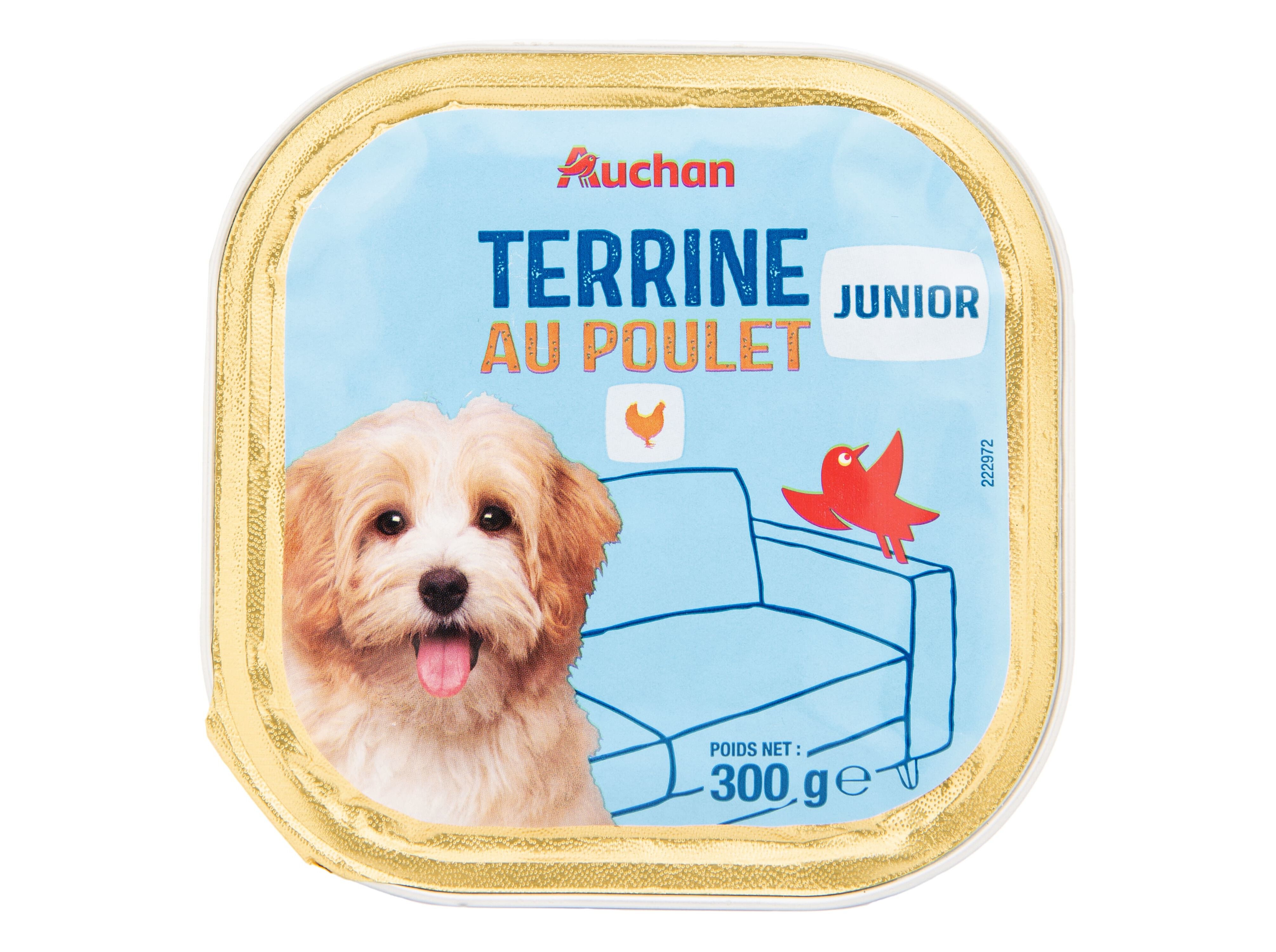 COMIDA H&Uacute;MIDA PARA C&Atilde;O AUCHAN J&Uacute;NIOR TERRINA COM FRANGO 300G image number 0