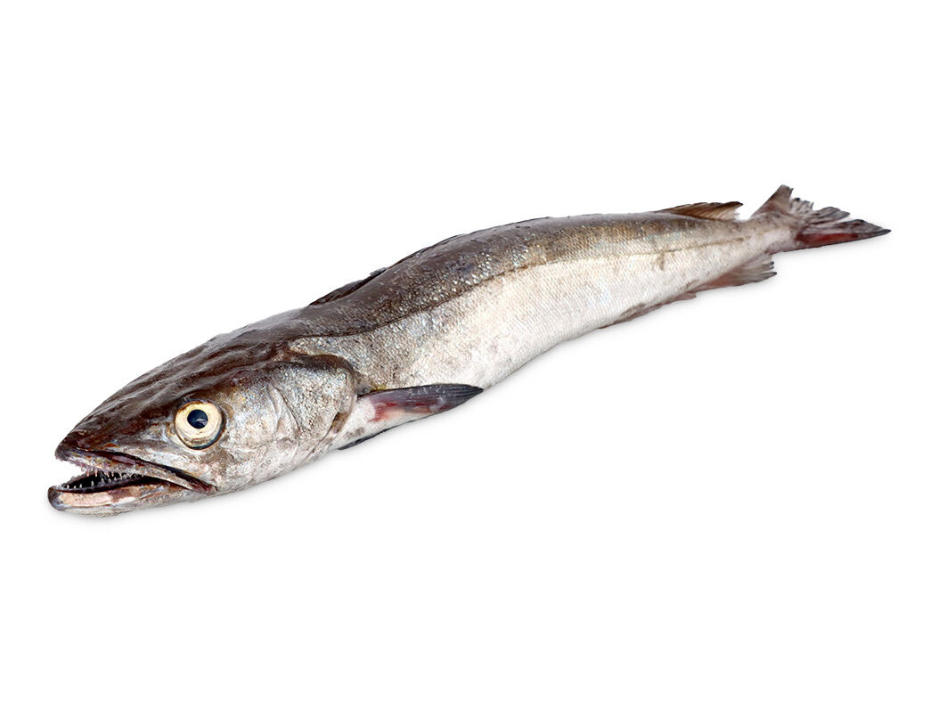 PESCADA DE ANZOL M&Eacute;DIA KG image number 0