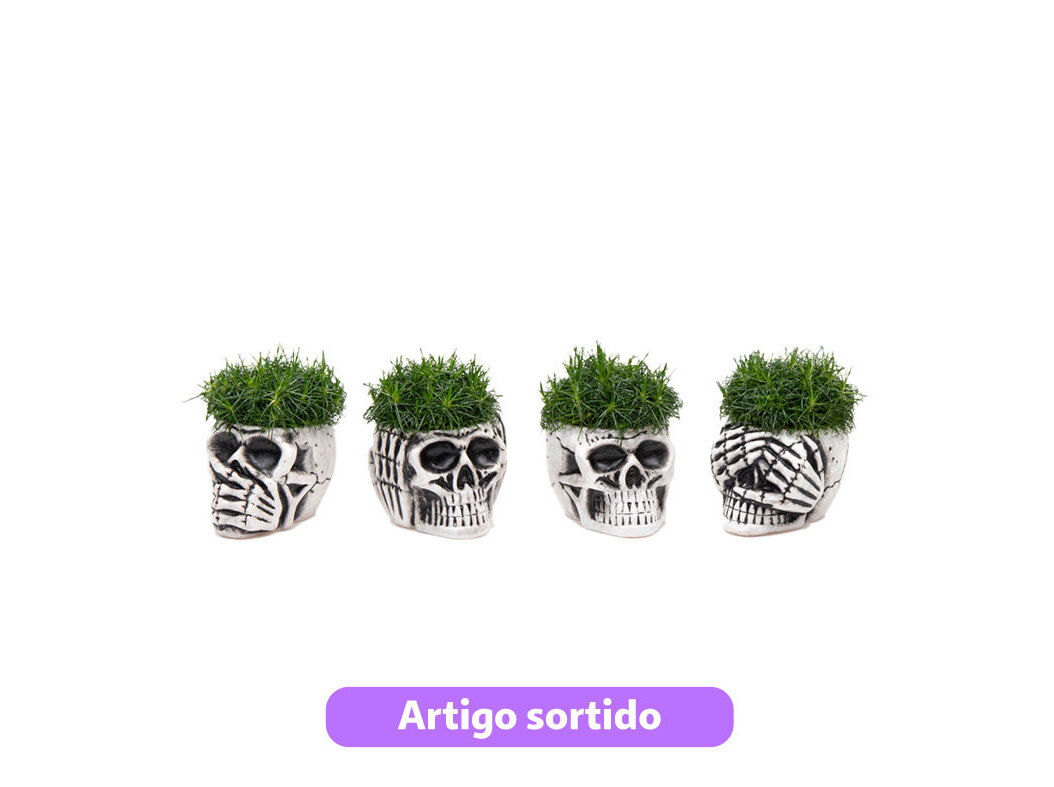 SAGINA HALLOWEEN VASO CAVEIRINHA VASO 6 MODELOS SORTIDOS