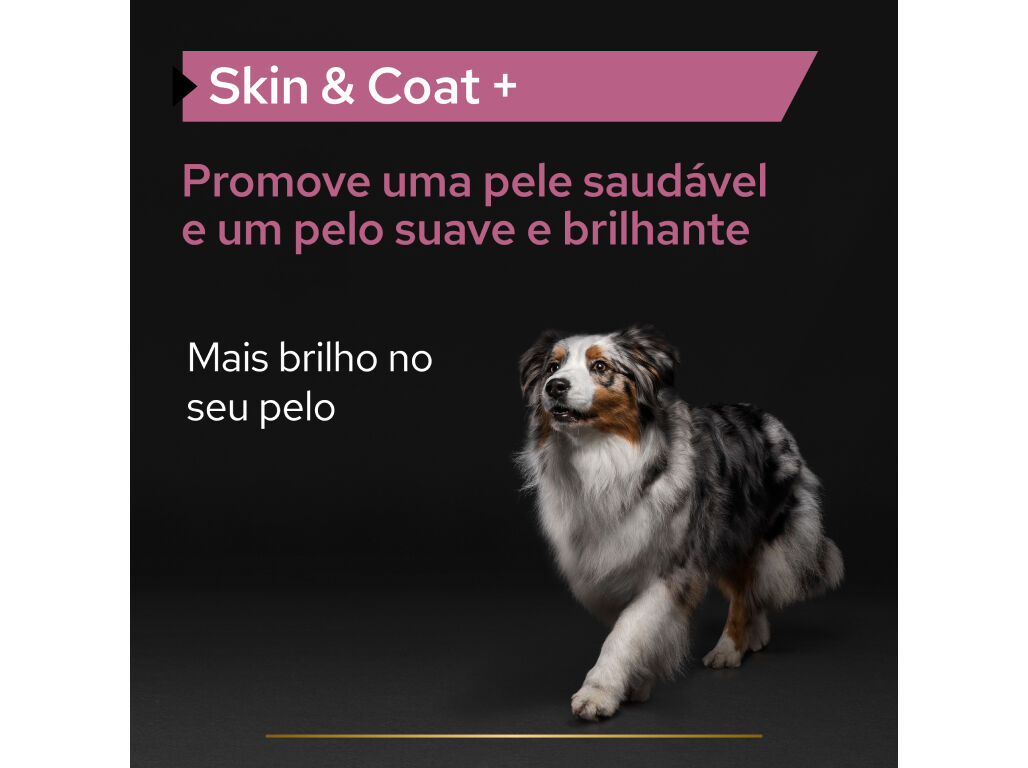 SUPLEMENTO PRO PLAN SKIN & COAT C&Atilde;O 250ML image number 2