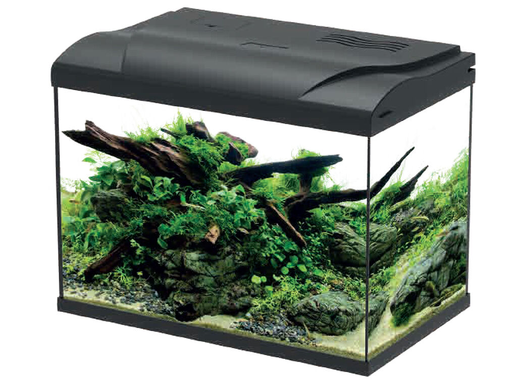 AQU&Aacute;RIO EM KIT AQUASERIES PEIXES &Aacute;GUA FRIA 49X30X40CM 44L