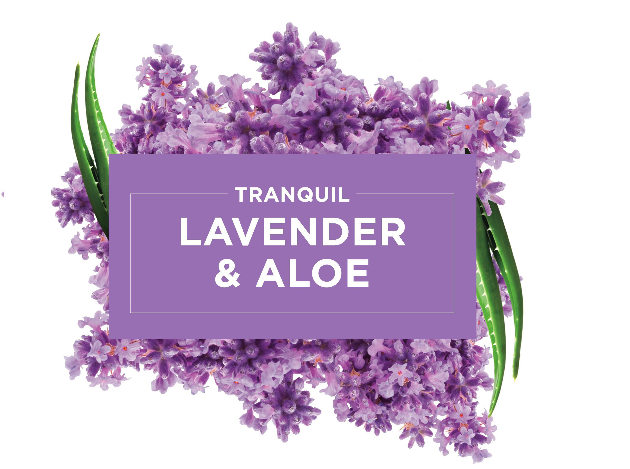 AMBIENTADOR GLADE RECARGA LAVANDA 20ML image number 2