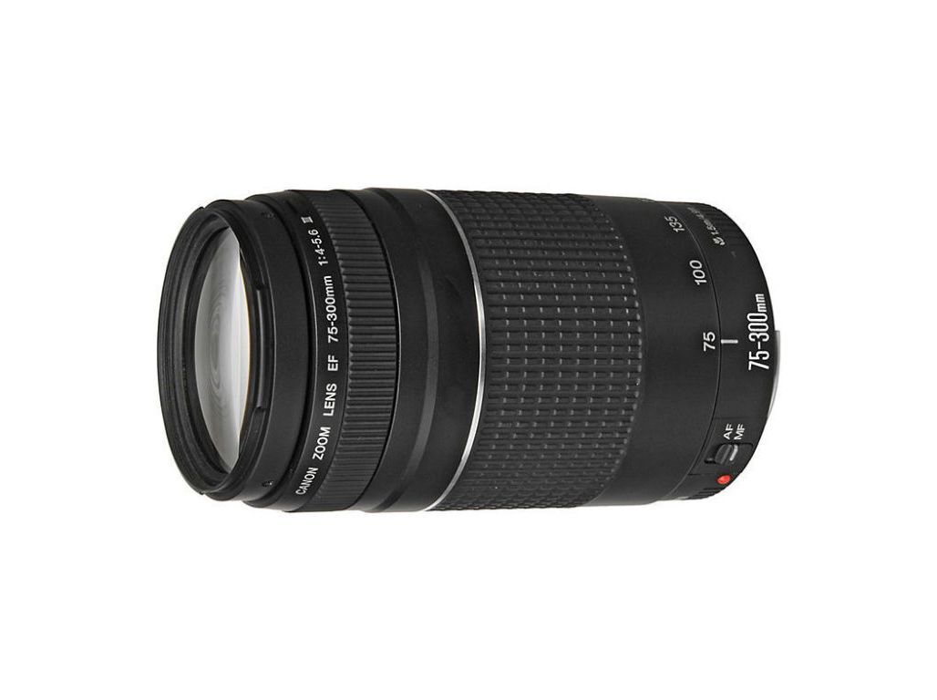 M&Aacute;QUINA FOTOGR&Aacute;FICA REFLEX CANON EOS 2000D + EF-S 18-55MM F/3.5-5.6 II + EF 75-300MM F/4.0-5.6 II image number 5