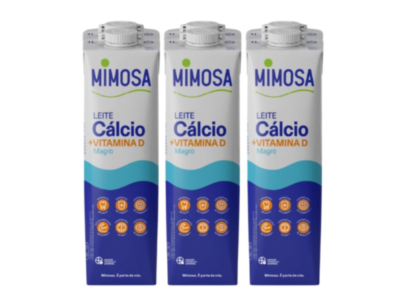 IOGURTE SEM LACTOSE MIMOSA CALCIO MAGRO 6X1L image number 0
