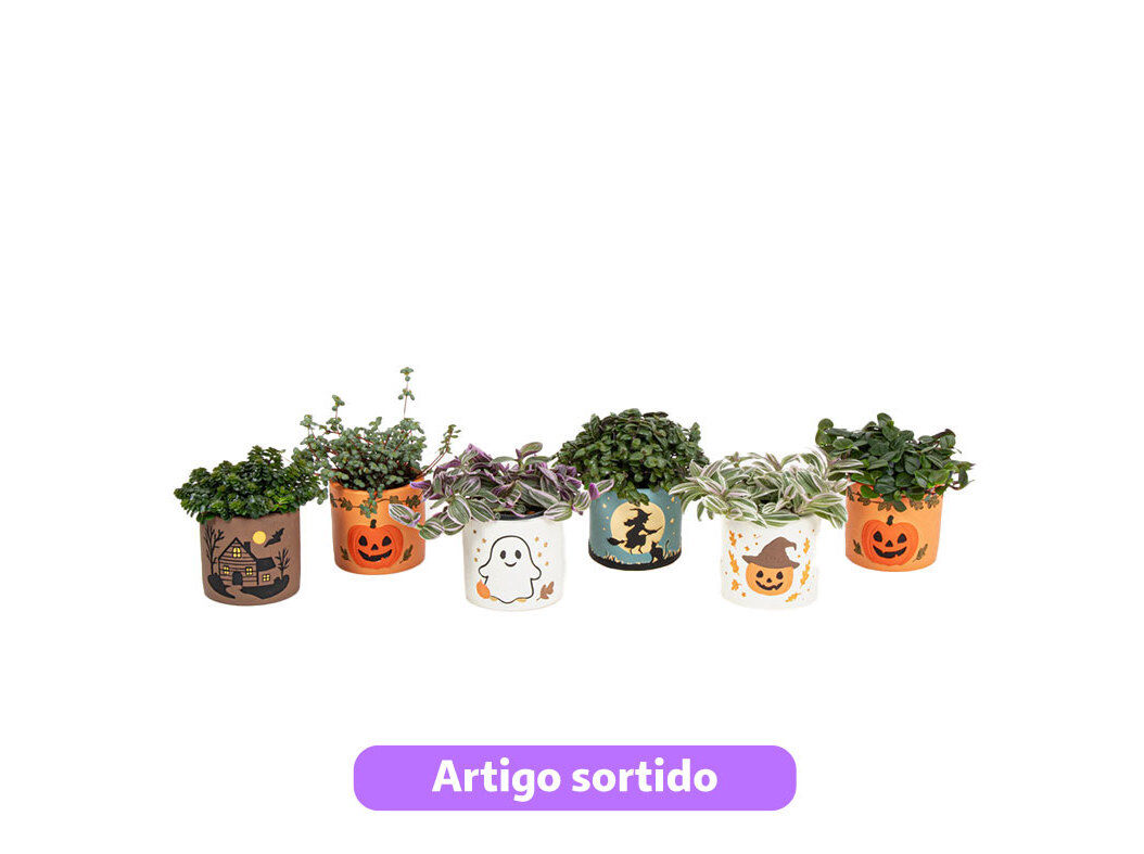 PLANTAS VERDES MIX HALLOWEEN VASOS DECORADOS VASO 6 MODELOS SORTIDOS