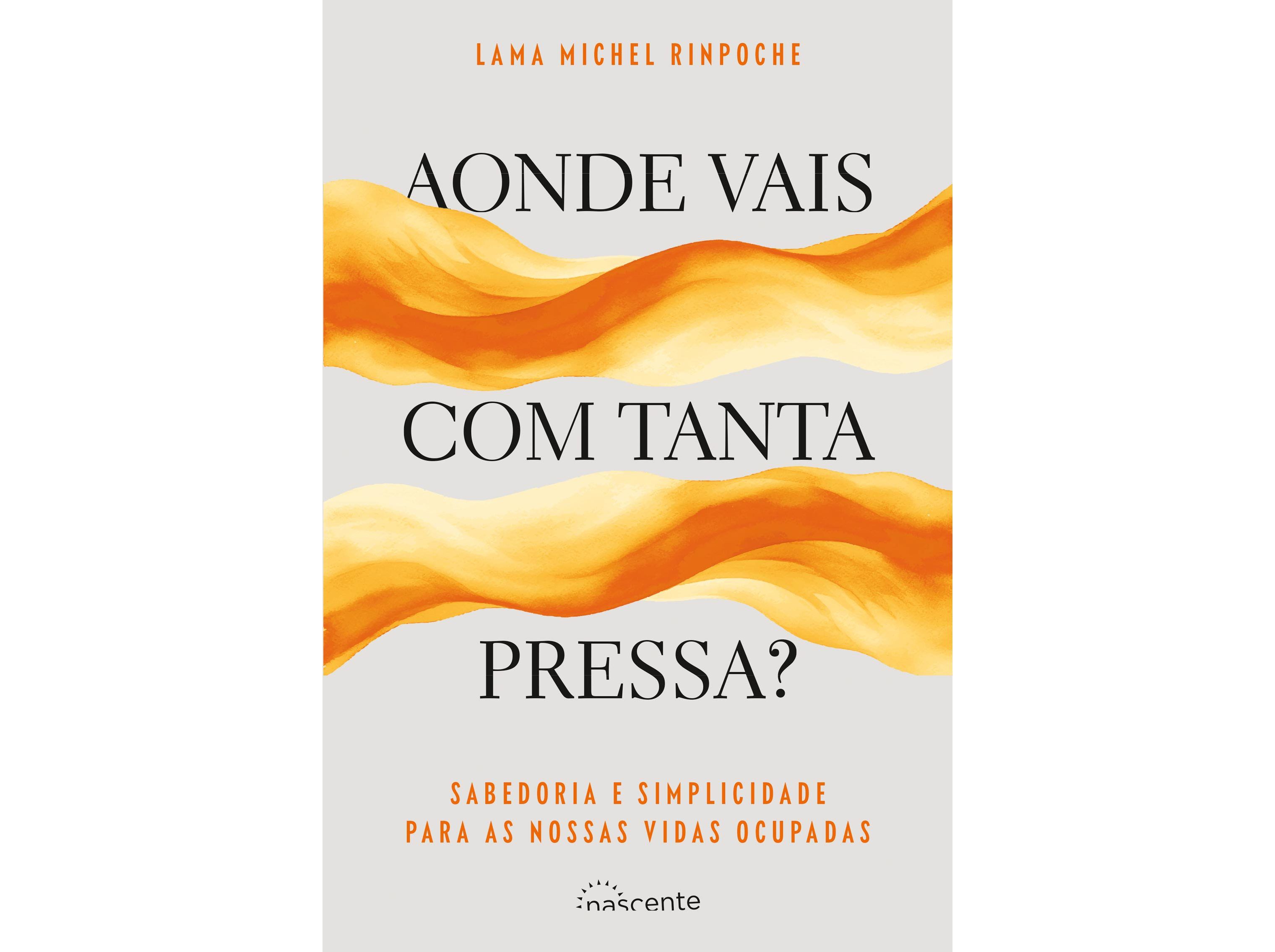 LIVRO AONDE VAIS COM TANTA PRESSA? LAMA MICHEL RINPOCHE image number 0