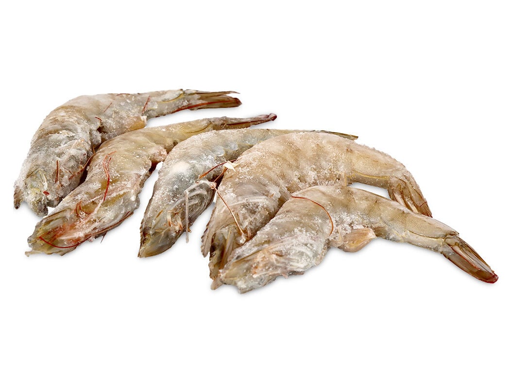 CAMAR&Atilde;O VANNAMEI 20/30 CRU CONGELADO KG