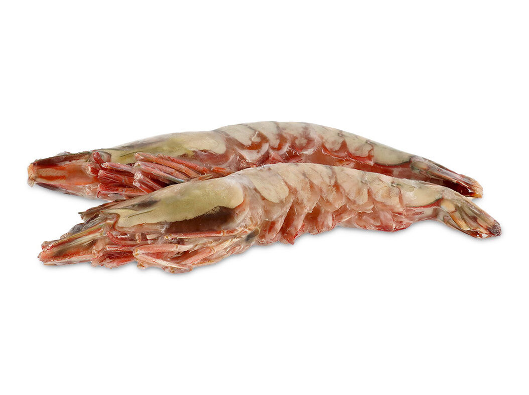 CAMAR&Atilde;O TIGRE SELVAGEM 2/4 CONGELADO KG